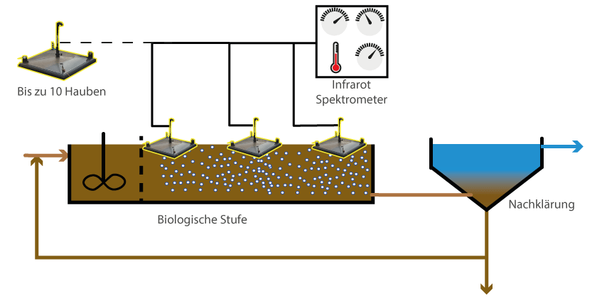 Messschema, Bild Wenzel Gruber