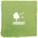 15: Life on land